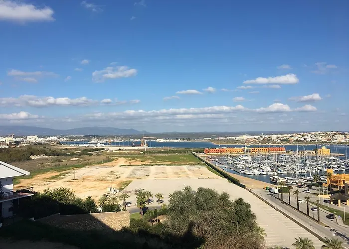 Ryan's Flat * 포티마오